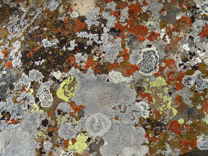 sull''arenaria della Laga